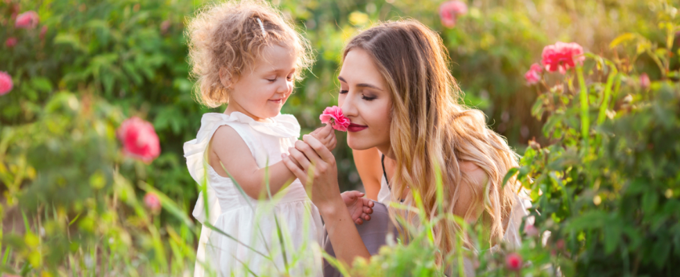 The (not so simple) Science of Smell: Why Certain Scents Smell Clean